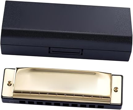 Professional Harmonica 10 Holes Harmonica Diatonic Blues Harp Mouth Organ Key Of C Reed Musical Instrument For Beginner Black Golden BlueGold