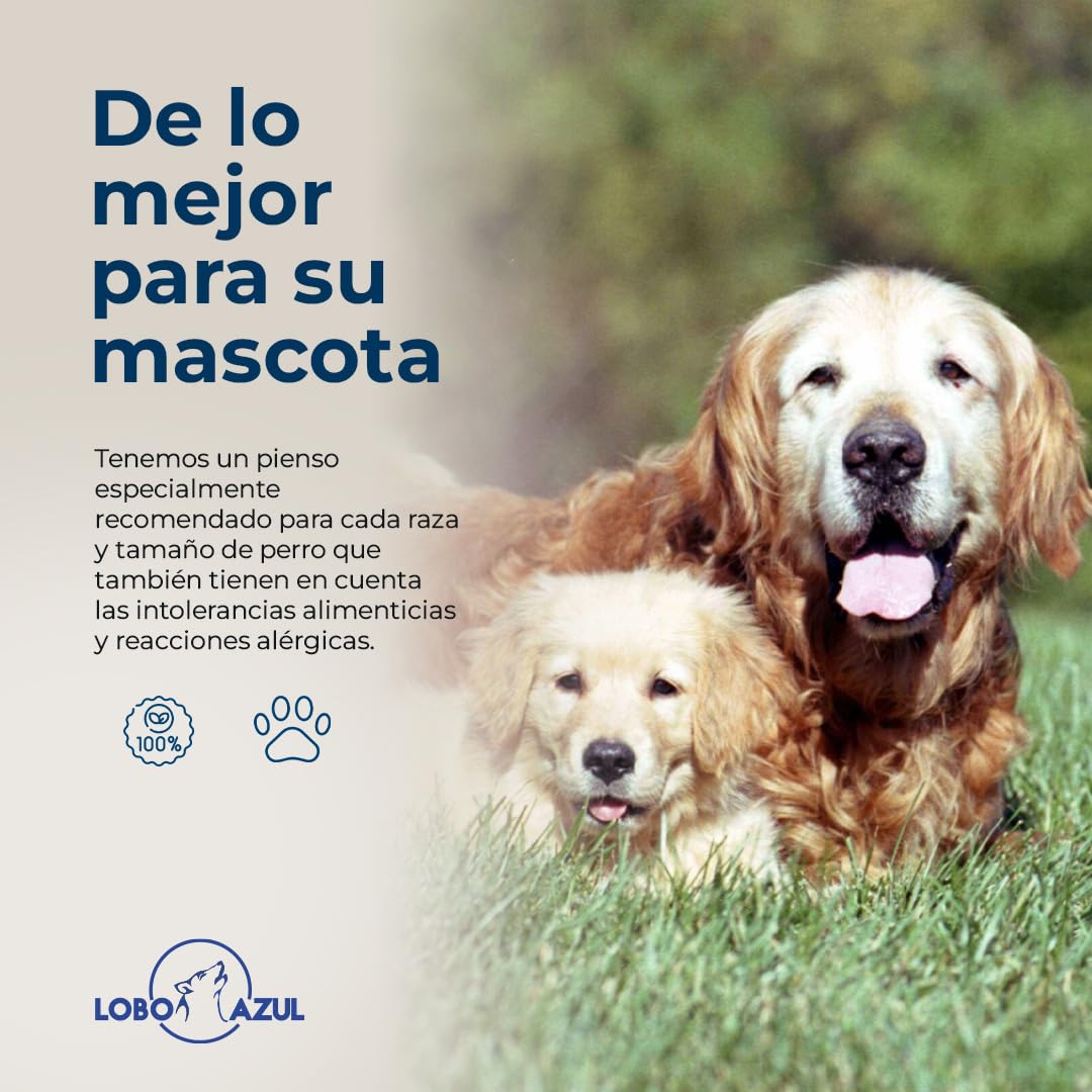 Starter Pienso para Cachorros y Madres en Gestación o Lactancia - Fórmula Hipoalergénica sin Cereales - Alto Contenido en Proteínas - Primeros Meses de Vida - Lobo Azul Super Premium - 15kg