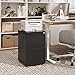 DEVAISE Vertical File Cabinet with Lock, Mobile Filing Cabinet for Legal/Letter/A4 Files, Fully Assembled Except Wheels, Black