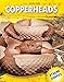 Price comparison product image Copperheads (Xtreme Snakes)