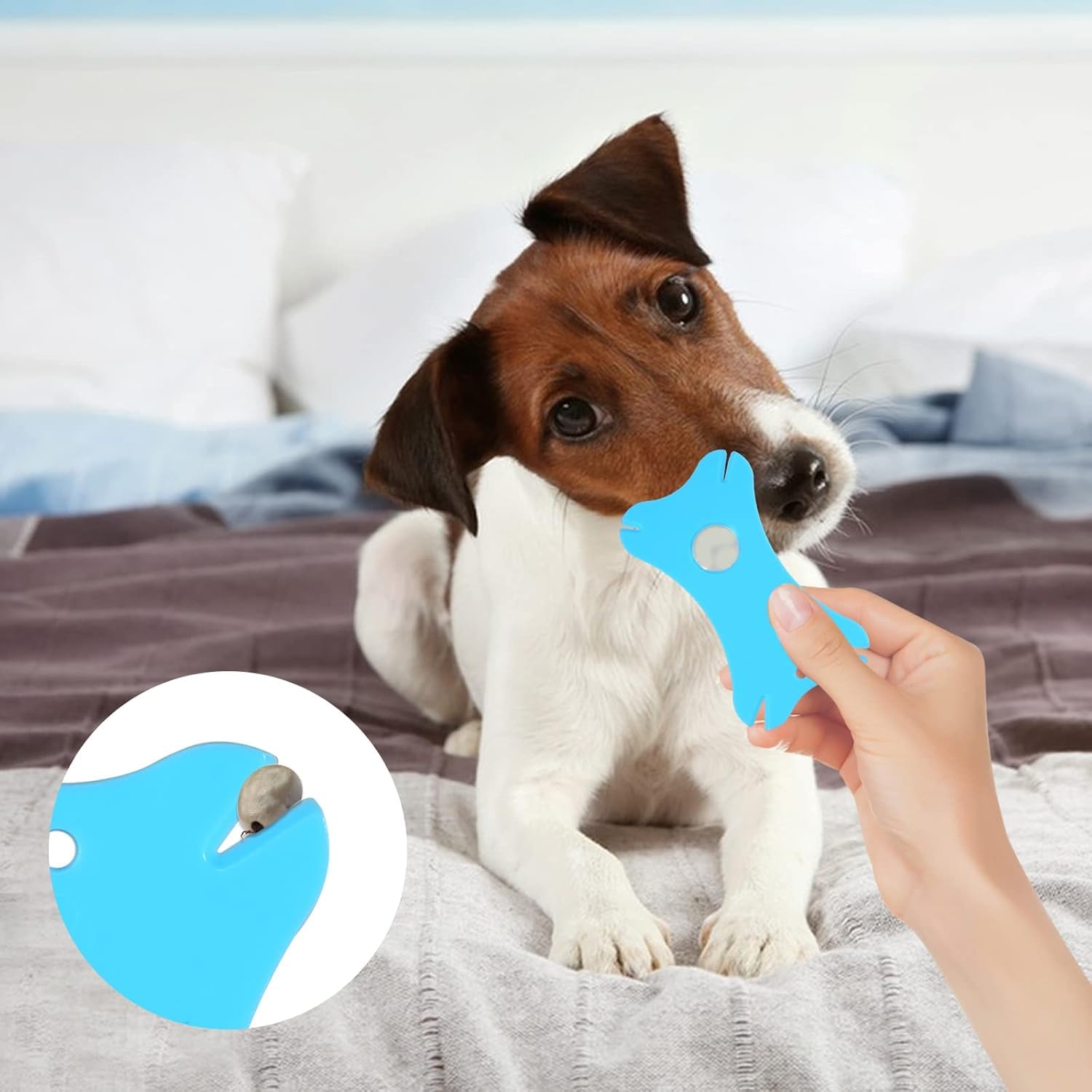 Zeckenkarte mit Lupe, 2 Stück Zeckenkarten für Zecken mit 1 Stück Edelstahl Zeckenzangen Zeckenkarte für Kinder, Zeckenkarte für Menschen Kinder Hunde Katzen