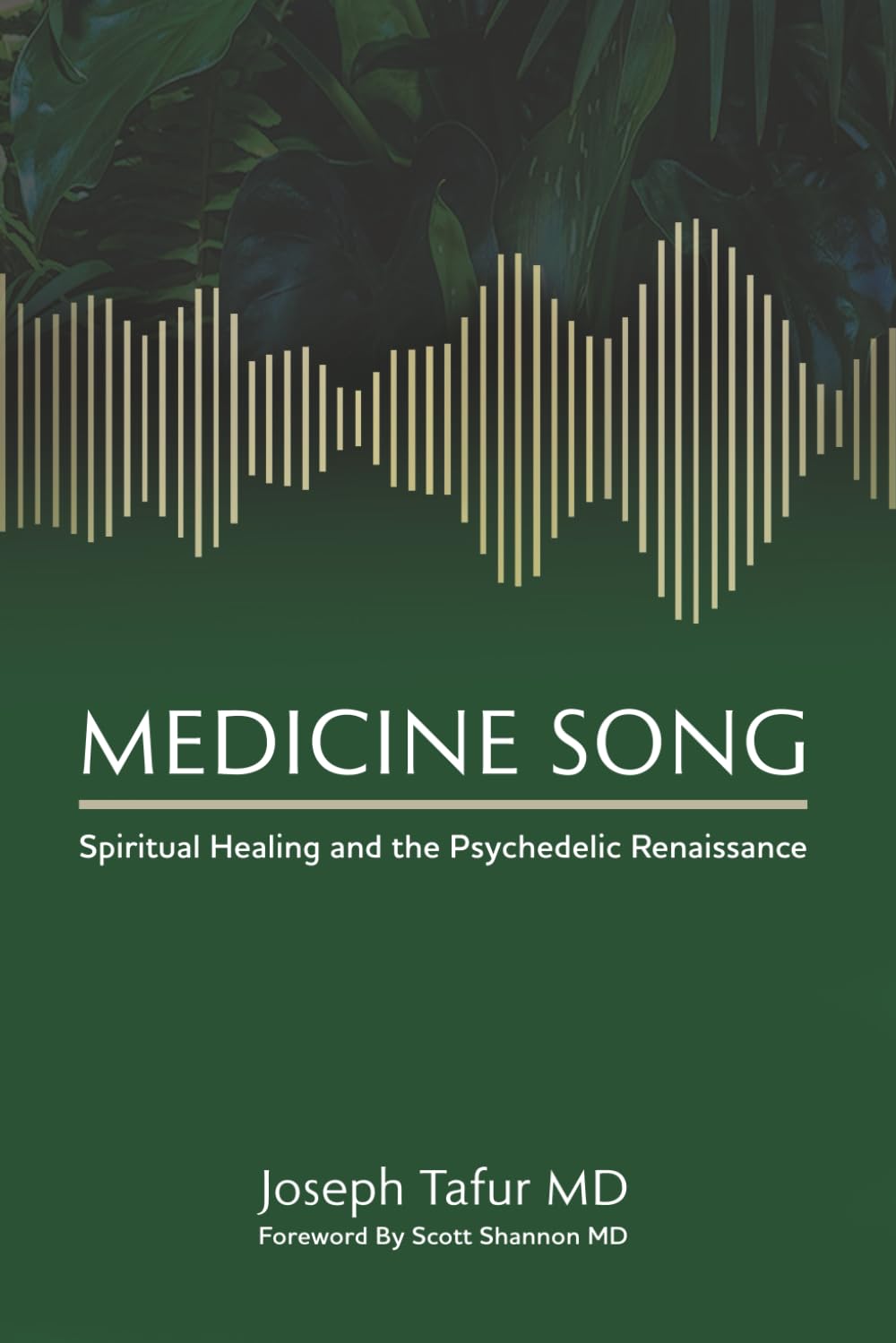 Medicine Song: Spiritual Healing and the Psychedelic Renaissance