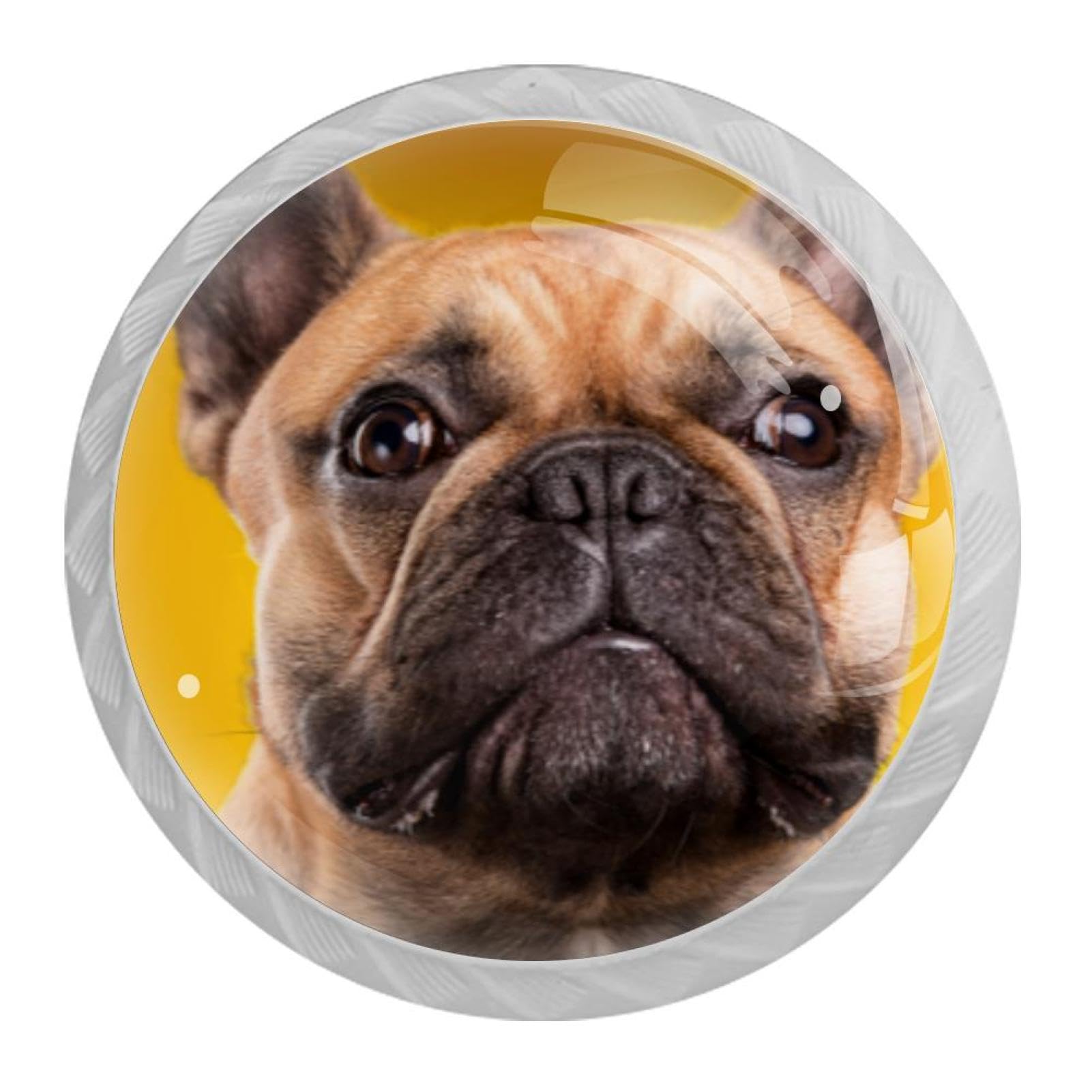 Tqmspg Dog French Bulldog