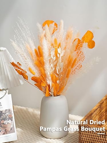 Miniatura 2 de Ramo de hierba de pampa seca natural, ramo bohemio para decoración del hogar, flores secas de frragmitas, flores secas de 17 pulgadas para