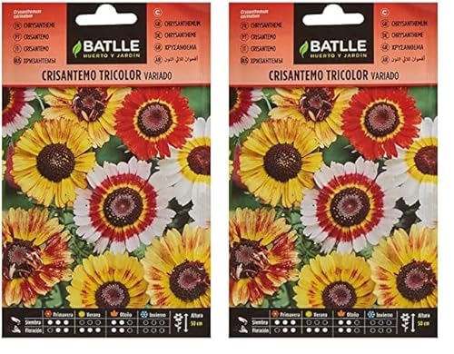 Semillas Batlle Crisantemo TRICOLOR (Paquete de 2)