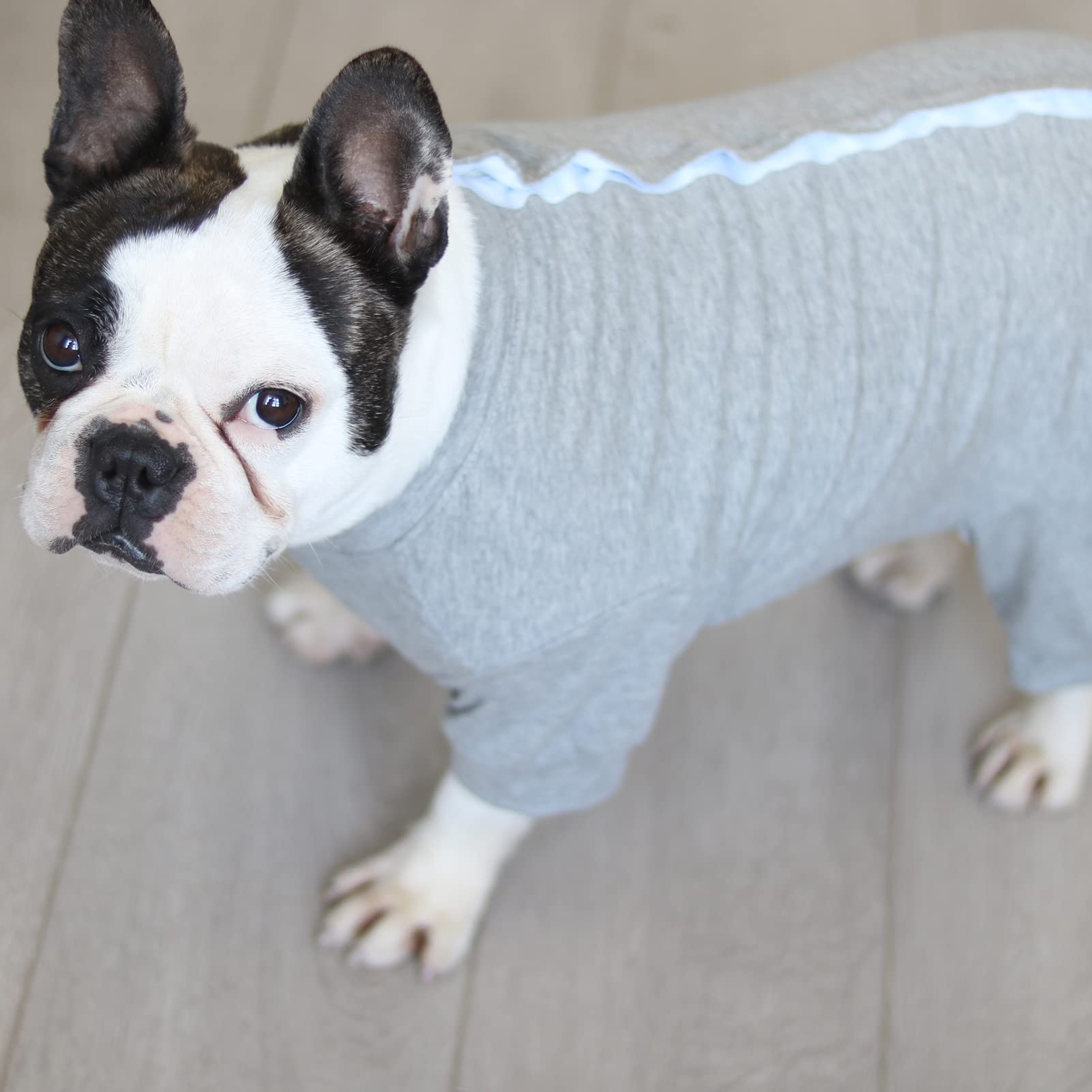 Amazon | KUVEELA PET 犬 服 犬術後服 術後ウェア フレンチブルドッグ
