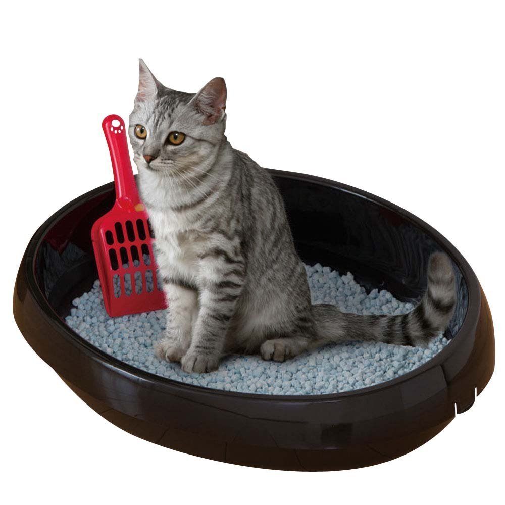 IRISOhyama Cat Litter Tray with Scoop, Up to 4kg, Black, Open Top, Cat Litter Box, High Sided, for Kitten, Rabbit, Small Deep, BPA Free, Easy to Clean, PNE-480