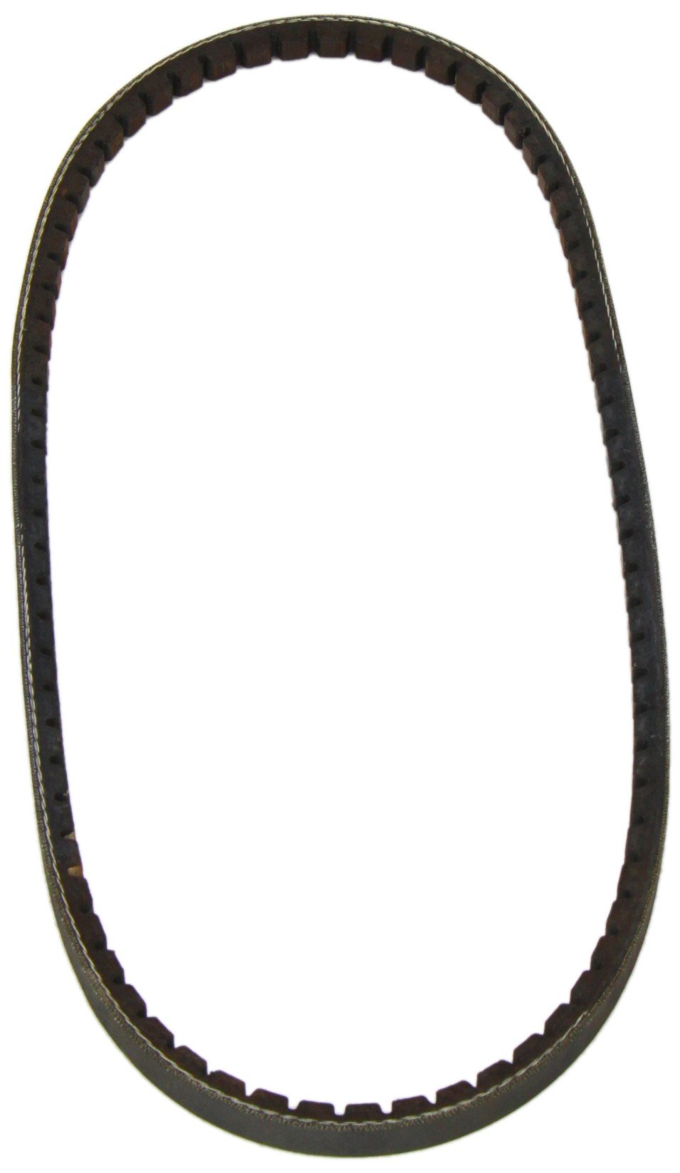 Dayco 10A0800C Drive Belt