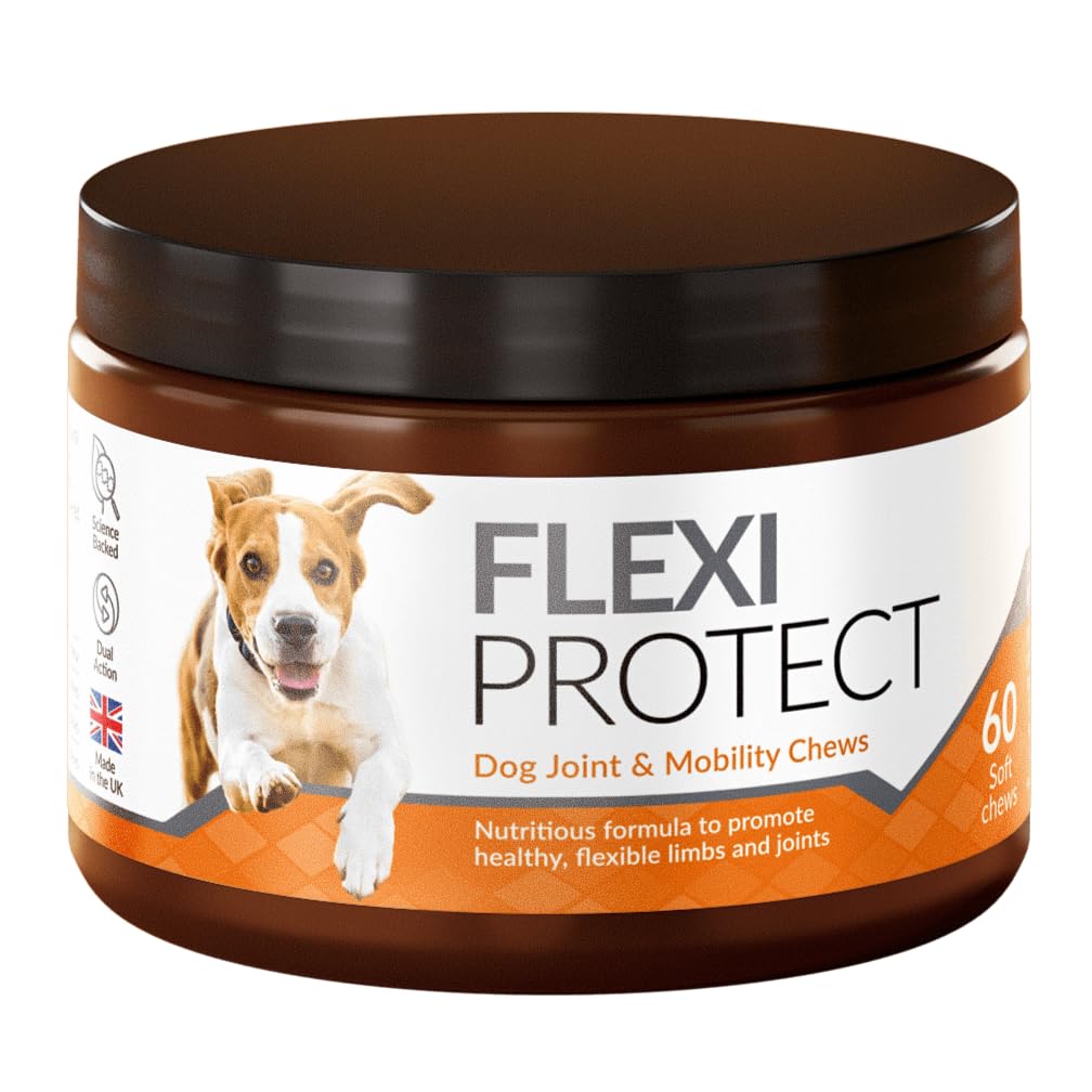 Flexi Protect (1pc) Dog Joint Supplement for Mobility & Joint Support