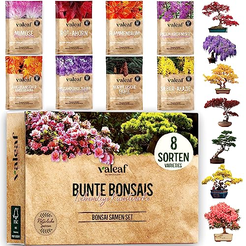 valeaf Bunte Bonsai Samen Set I 8 Sorten Bonsaisamen im Bonsai Starter Kit I Bonsai Set mit Bonsai Samen I Bonsai Tree Pflanzen Samen im Bonsai Kit I Exotische Samen zur Bonsaizucht mit valeaf Samen