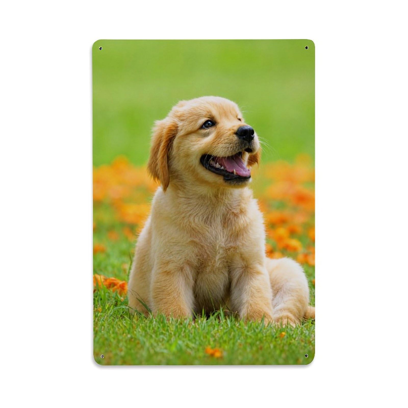 Golden Retriever Wildlife Healing Puppy Animal Aesthetic Metal Tin Sign Plaque Wall Decor for Cafe, Man Cave, Club Bar, Office, Home Garden Round Metal Poster 8x12Inch