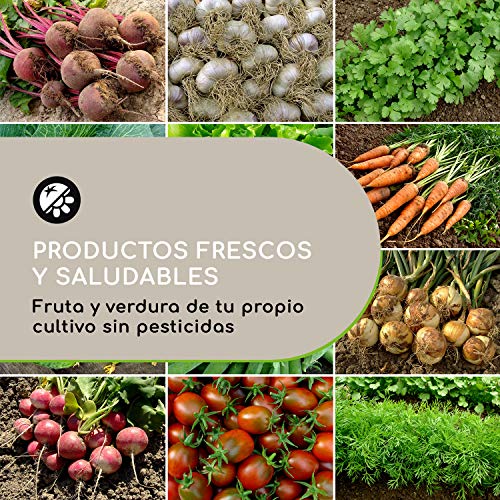 Blumfeldt High Grow Straight bancal - Macetero, Flores, Hierbas y ...