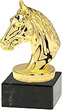 Generico Trofeo Cavallo Completo di Personalizzazione