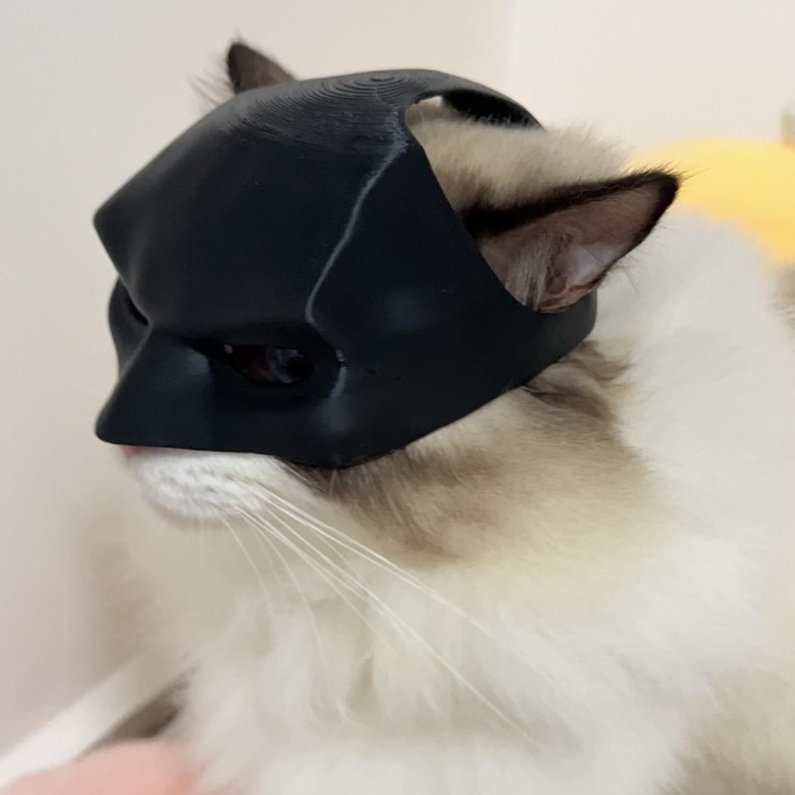 Amazon.co.jp: [HARUMAKI] 猫バットマンマスク バットキャットマスク