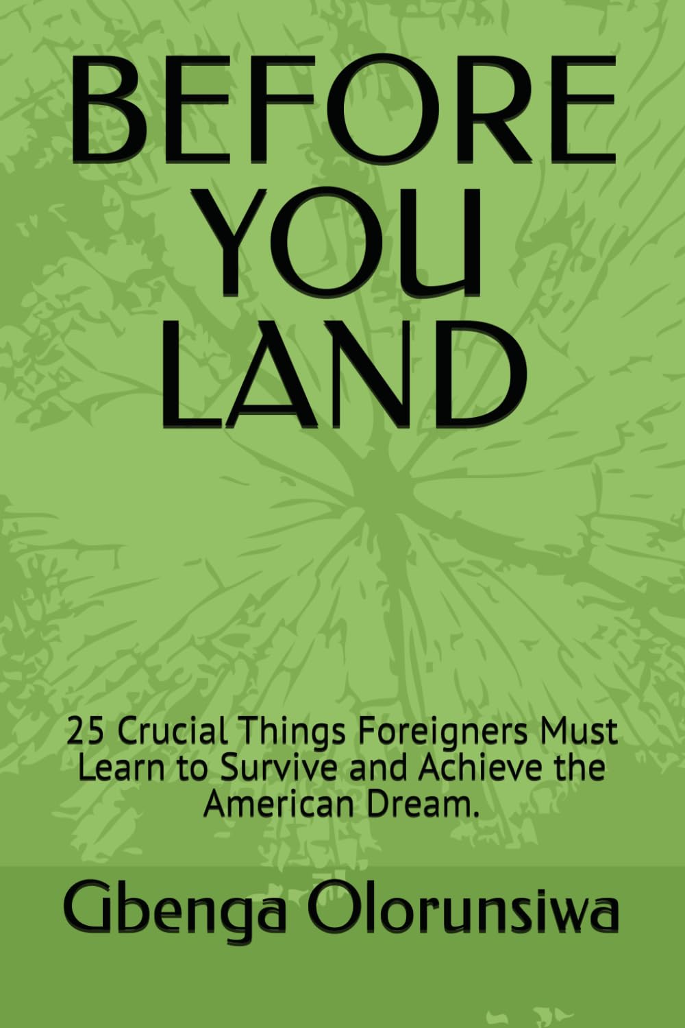 BEFORE YOU LAND: 25 Crucial Things Foreigners Must Learn to Survive and Achieve the American Dream.