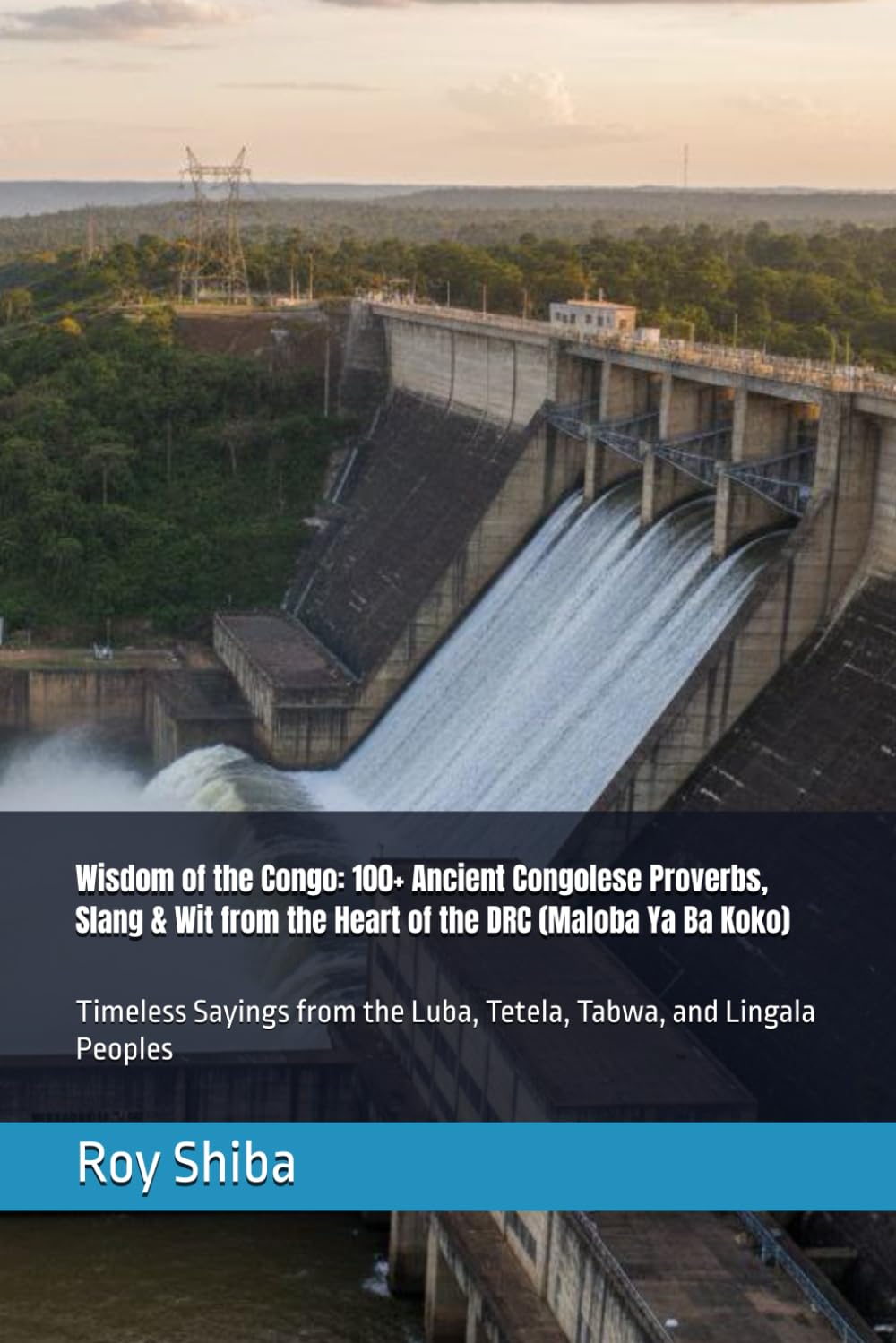 Wisdom of the Congo: 100+ Ancient Congolese Proverbs, Slang & Wit from the Heart of the DRC (Maloba Ya Ba Koko): Timeless Sayings from the Luba, ... Lingala Peoples (The World Wisdom Archive)