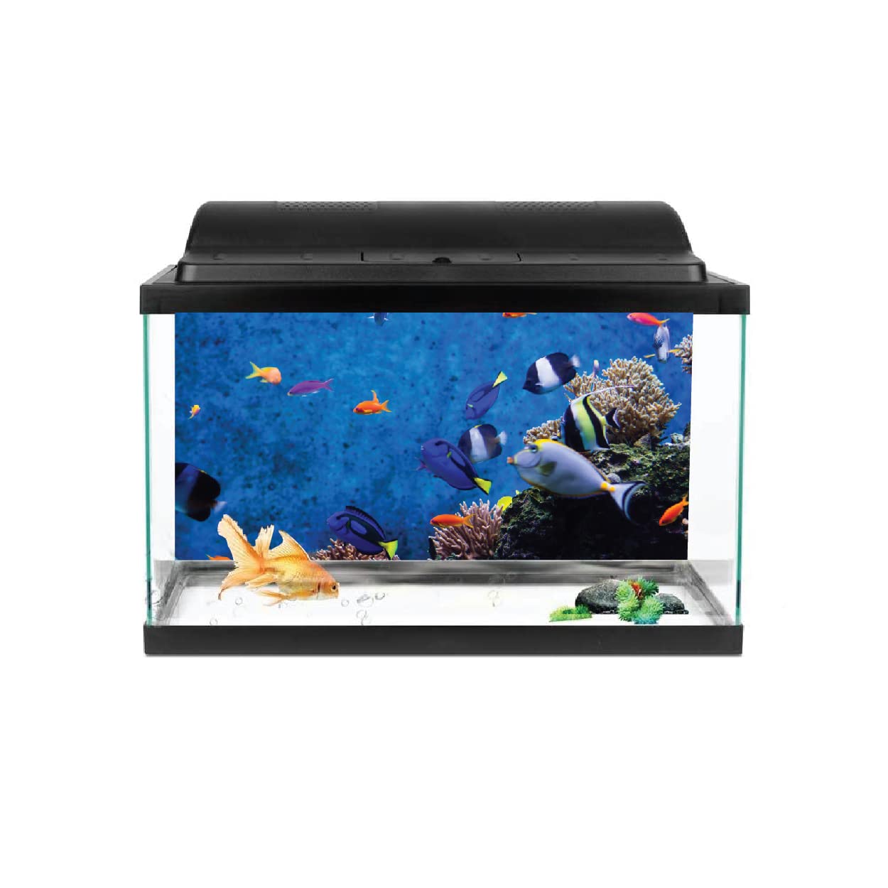 VVWV® Small Fish Aquarium colourfull Background Stickers for Fish Tank Waterproof Vinyl Printed Multicolored Sticker (61 x 30 CMS) (B0BWJR82VN) Amazon Price History, Amazon Price Tracker