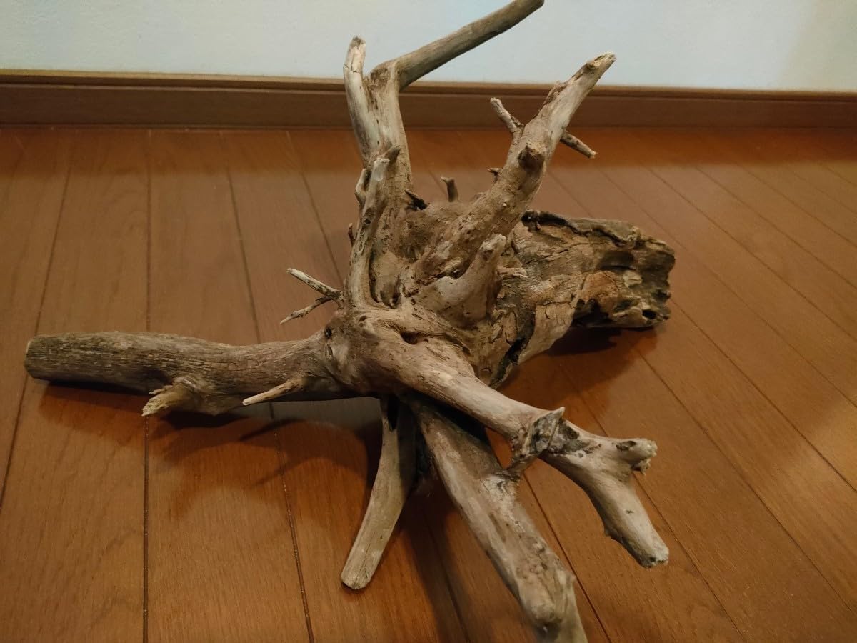 入手困難】外務員必携 テキスト4冊&DVD FP2級 入手困難】外務員必携