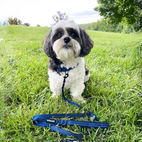 Image of Best Pet Supplies Voyager Reflective Dog Leash or Collar with Neoprene Handle, for Small, Medium, and Large Breed Puppies, Cute and Heavy Duty for Walking, Running and Training - Royal Blue (Leash), L