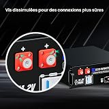 ECO-WORTHY Cubix100 Batterie Lithium 48V 100Ah*3 Bluetooth - 7