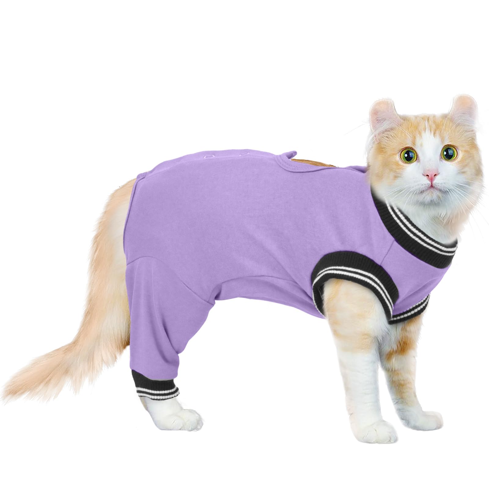 PUMYPOREITY Cat Surgical Suit