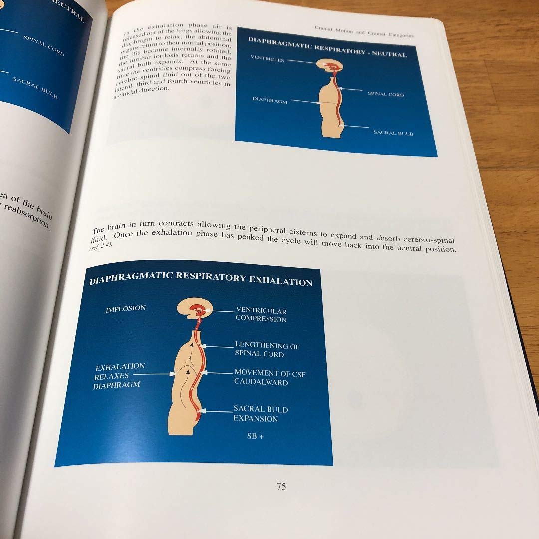 カイロプラクティック 貴重な本 英文 どこで 買える か