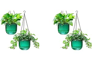 Emerald Haven for Indoor Plant Flourishing