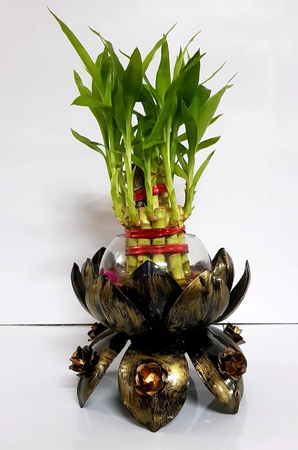 R.R.V. INTERNATIONAL 2 Layer Lucky Bamboo Plant with Glass Vase & Metal Lotus Base | Home Decor Live Plant for Indoor (B0BSFM9Y24) Amazon Price History, Amazon Price Tracker