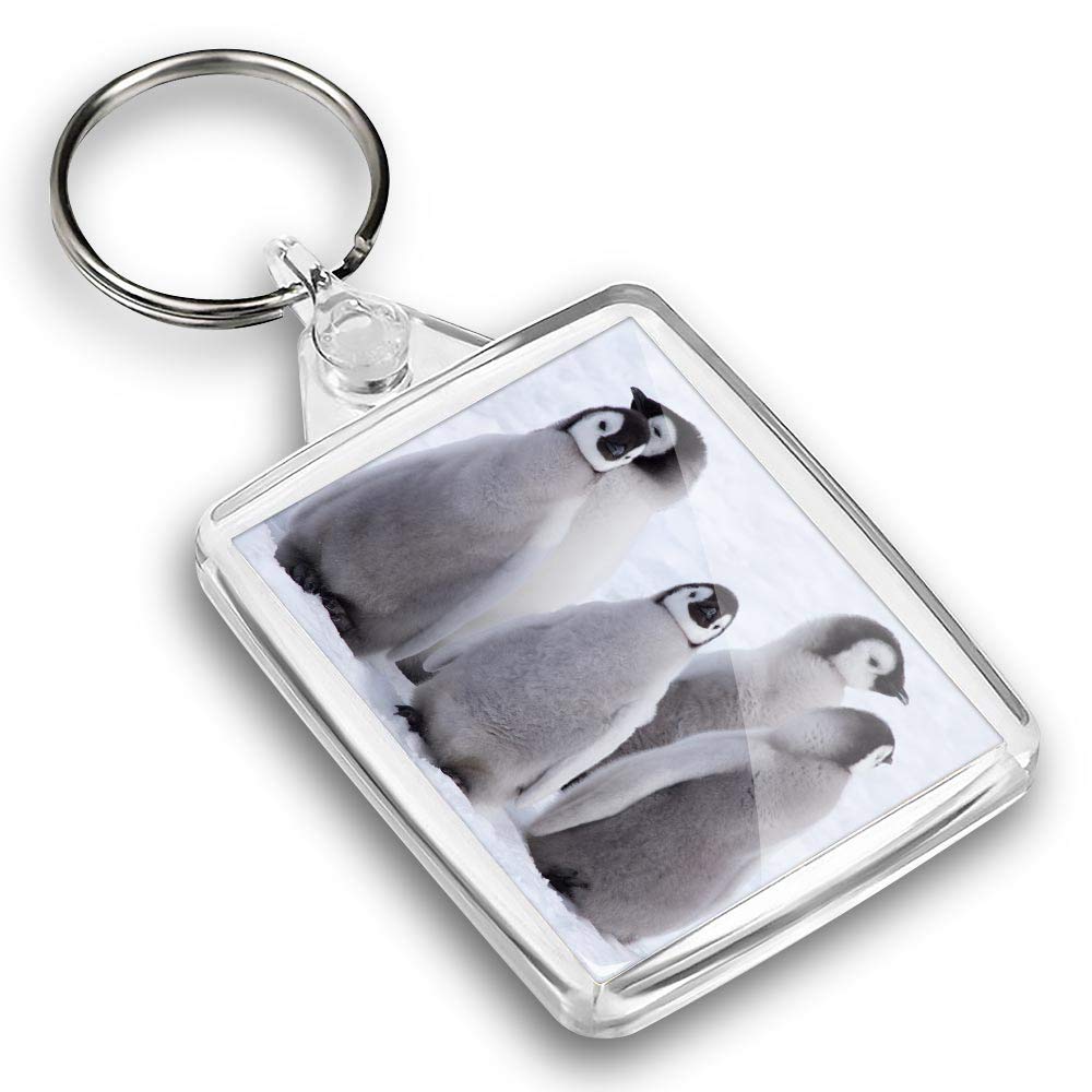 Destination Vinyl ltd 1 x Photo Keyring - Five Emperor Penguin Chicks Antarctica |Keychain|Keyring|Charm| #45027