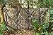 AUSCAMOTEK 300D Camo Netting for Hunting, Deer Blinds, Tree Stands, Ground Blind Hunting, Portable Chair Cover, Treestand Umbrella - Green 5x6.5 Feet