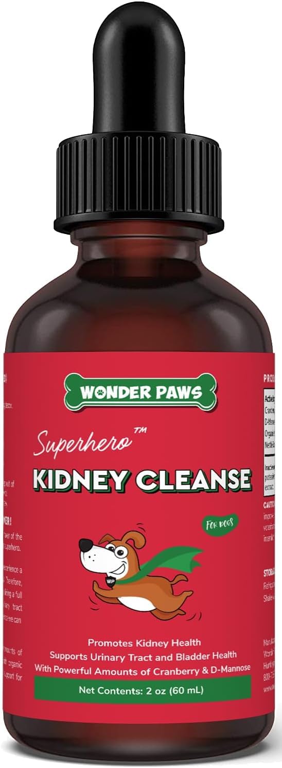 Best Kidney Supplement for Dogs in 2024 We Love All Animals