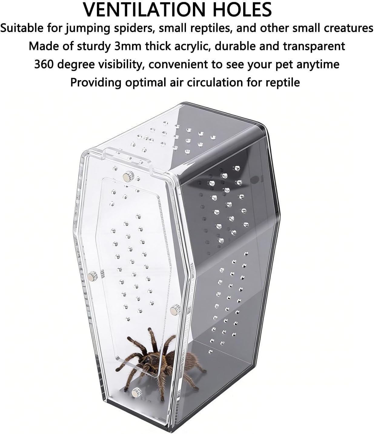 Diydeg Jumping Spider Enclosure, Acrylic Coffin Shape Reptile Terrarium with Ventilation Holes, for Jumping Spiders Small Reptiles Insects Tarantula Beetle, 5.1x6x9.5 Inches