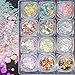 LuckForever 12 Jar Chunky Glitters Sequins Iridescent Champagne Pink Gold Hexagon & Powder Glitter Flakes Nail Art Decorations Makeup Body Craft Glitter Accessories