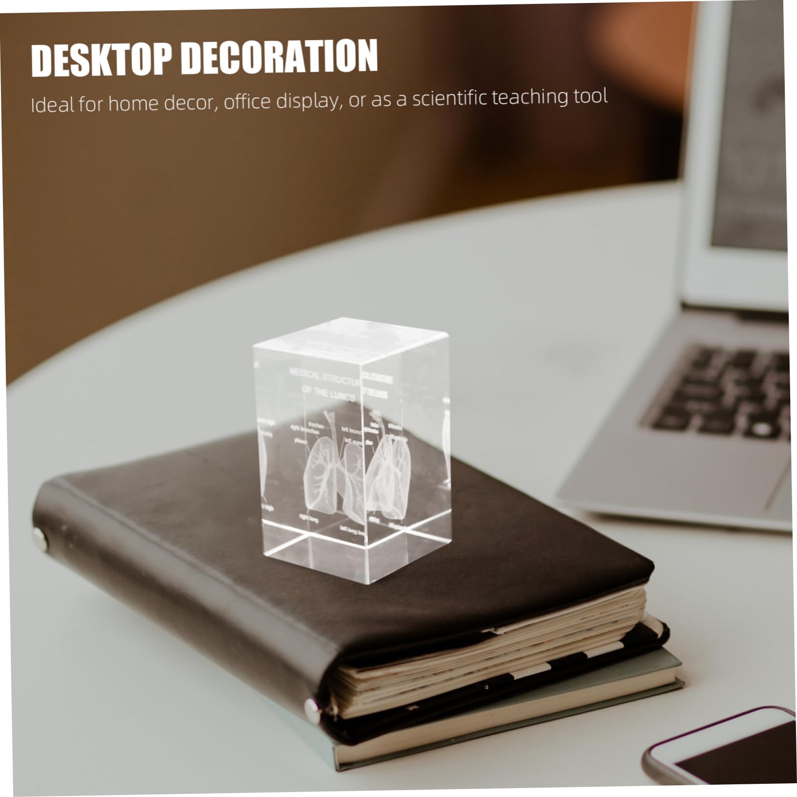 Modelo Anatómico del Pulmón en Cristal 3d Intrincado Grabado Interno, Diseño en Cubo Elegante para Enseñanza Científica y Decoración en Oficina