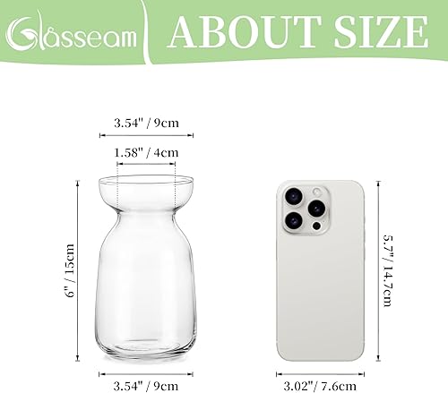 Miniatura 5 de Glasseam Jarrón de vidrio de jacinto para flores jarrón de brote forzador de bulbos, juego de 3 jarrones pequeños transparentes para centros de