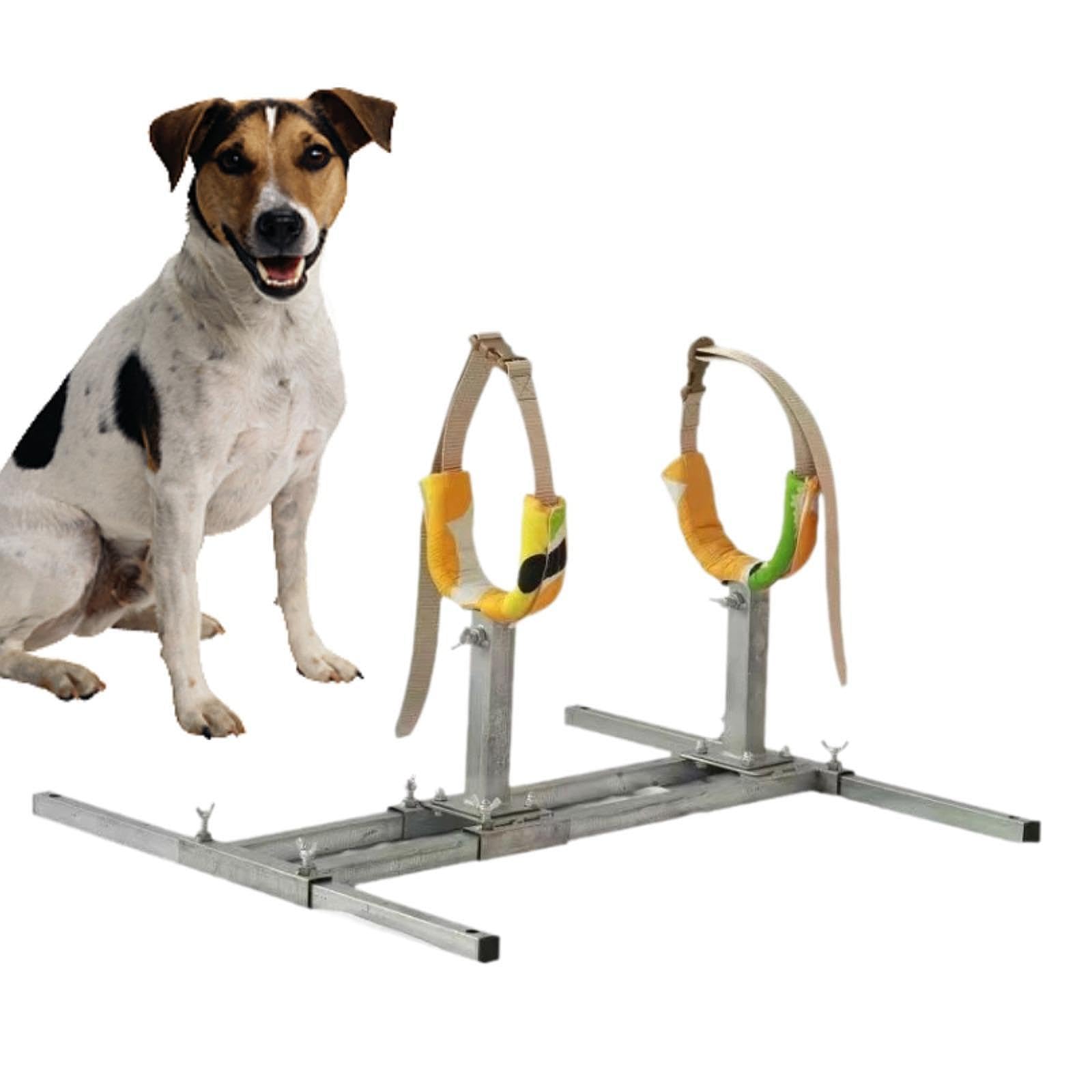Dog Breeding Stand Pet Fixed Bracket,Adjustable,Breeding Accessories Bathing Supplies Steel Trimming Dog Bathing Station, L