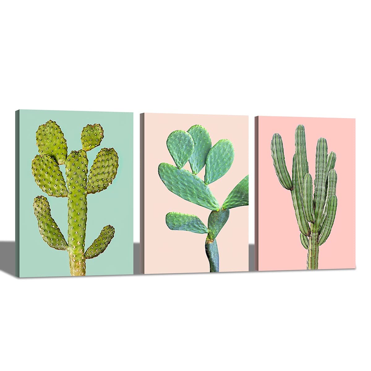 Peinture HD impression toile à huile cactus abstrait