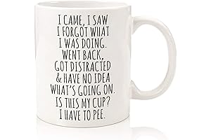 i came i saw i forgot ceramic coffee mug