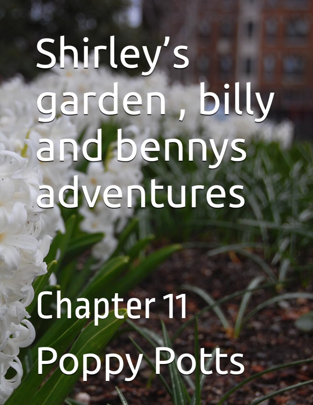 Shirley’s garden , billy and bennys adventures: Chapter 11 (Shirley’s garden billy and Benny’s adventures , by poppy Potts)