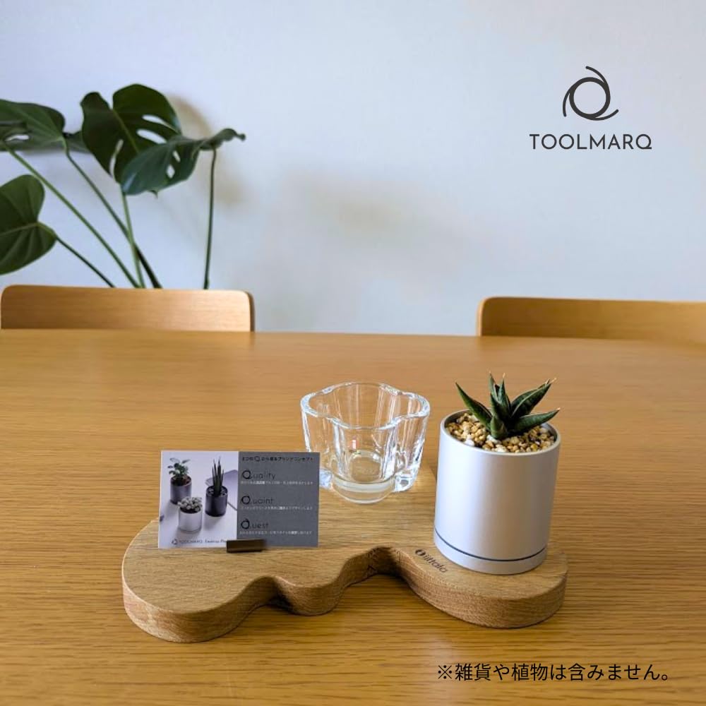 Amazon.co.jp: 美しく軽い おしゃれな植木鉢 屋内 観葉植物｜アルミ製