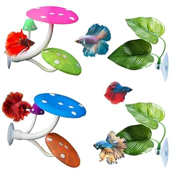 珍品 自然美型 コアラとキノコのくっついた流木 枯木 オブジェ 高さ60cm Amazon.co.jp: 置き物 マッシュルーム 大きめきのこ