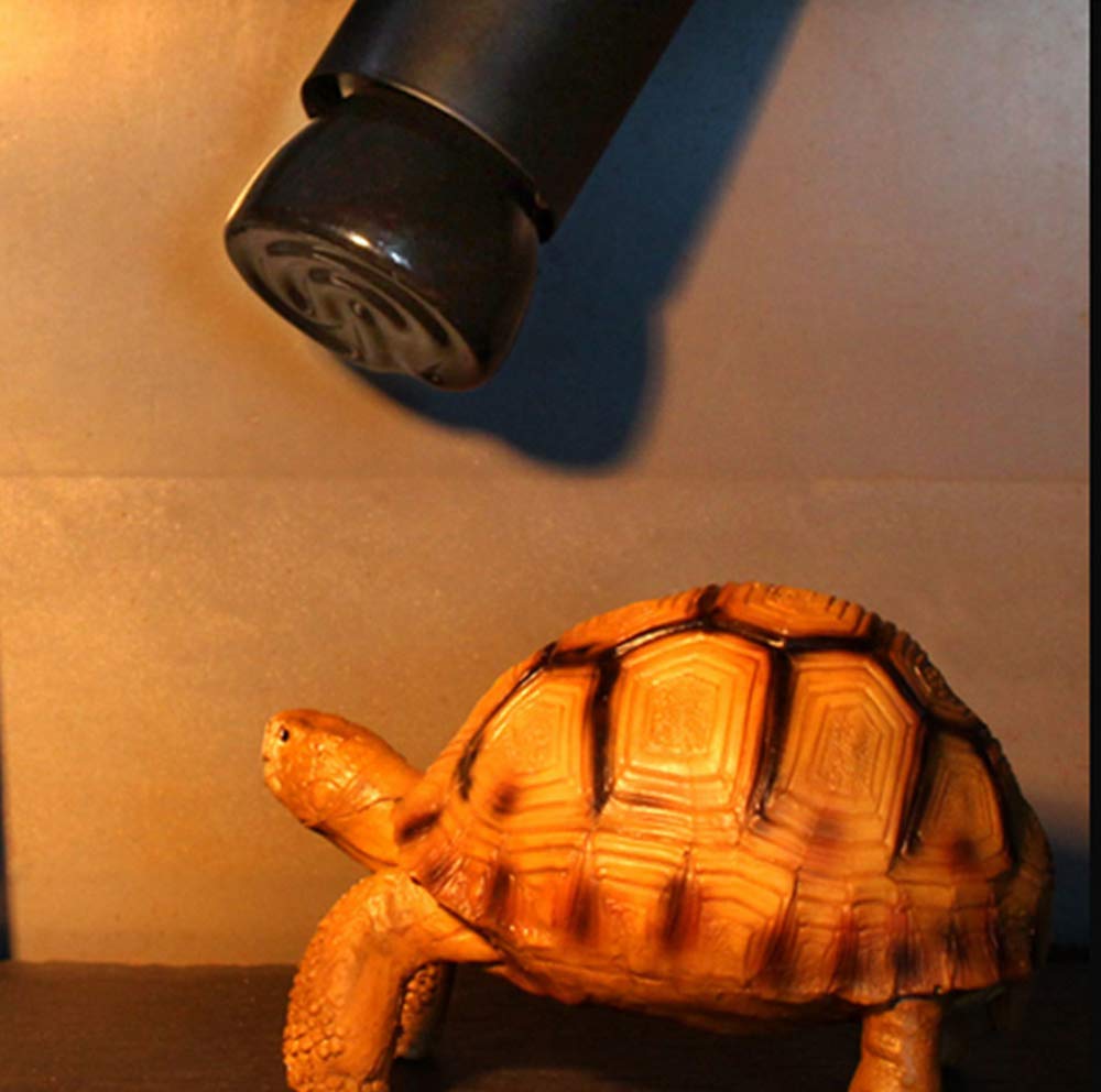KIMROO 50W Mini Reptile Heat Lamp Bulb(2 Pack) E26/E27 Base,AC110-120V,Pet Infrared Ceramic Heat Emitter, or Reptile Like Lizard,Tortoise,Brooder Coop, Aquarium,Snake,No Light,Black - image 6