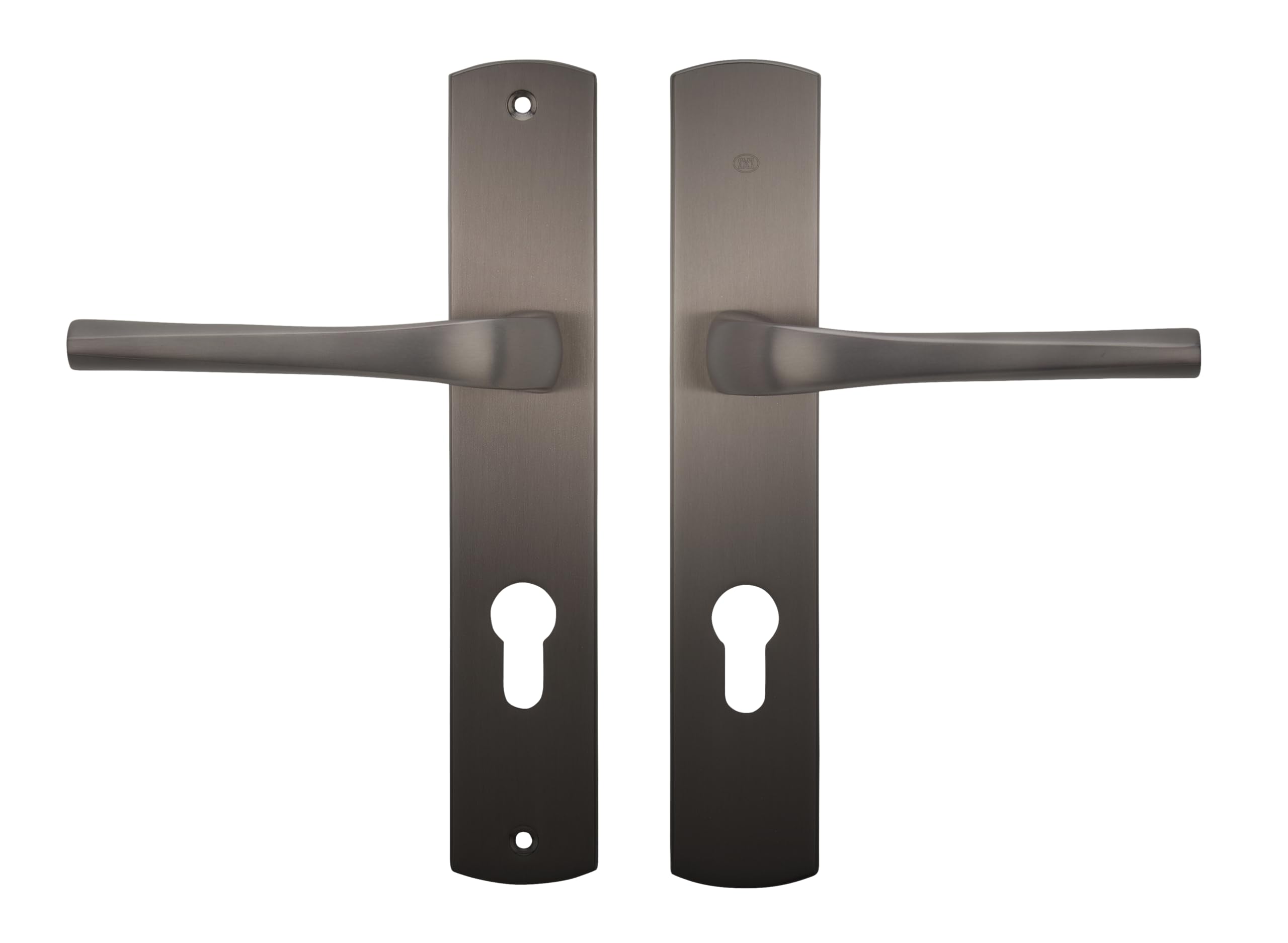 Bricard 8790T1 Pair of Handles Titanium zamack on Evidence Plate, Front Door