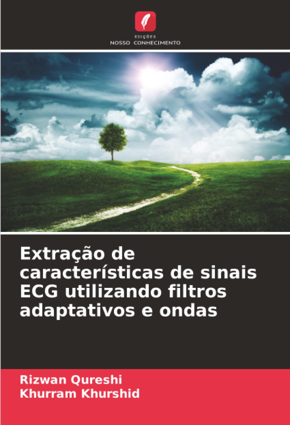Extração de características de sinais ECG utilizando filtros adaptativos e ondas