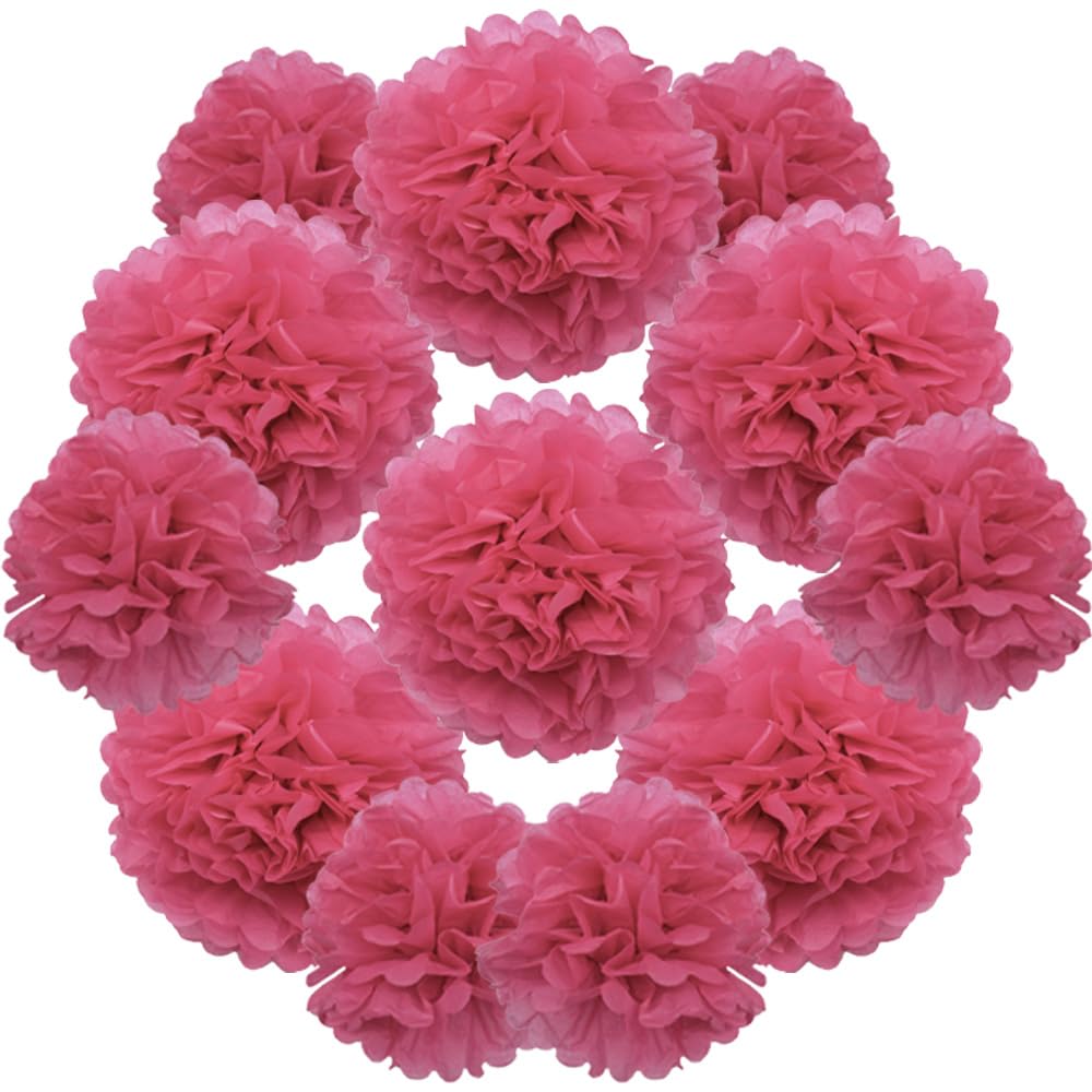 Yosawo 12 Pack Tissue Paper Pom Poms 10" & 12" Paper Flowers for Wedding Birthday Party Baby Shower Valentine Day Decorations(ZH/Rose)