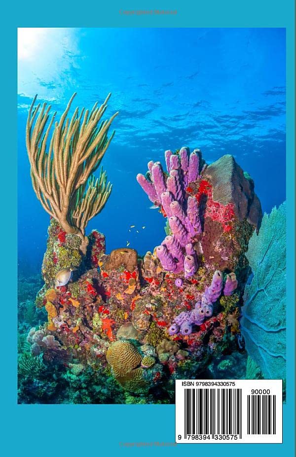 Vista 2 de Updated Bahamas Travel Guide A Comprehensive Guide to Explore the Rich History, iconic tourist spots, Natural Wonders, Vibrant Culture, and Stunning