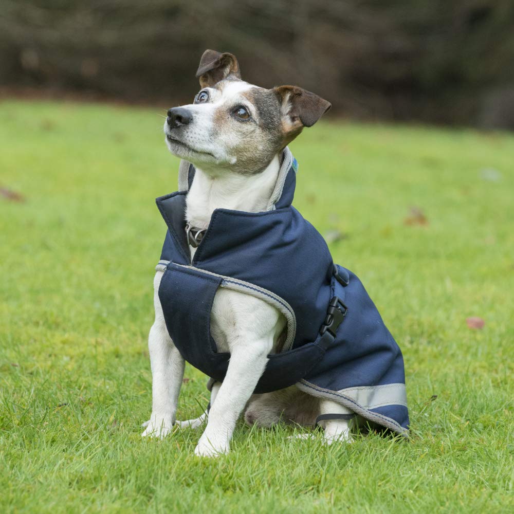 Bucas Freedom Dog Blanket płaszcz dla psa Light (Navy, 70)
