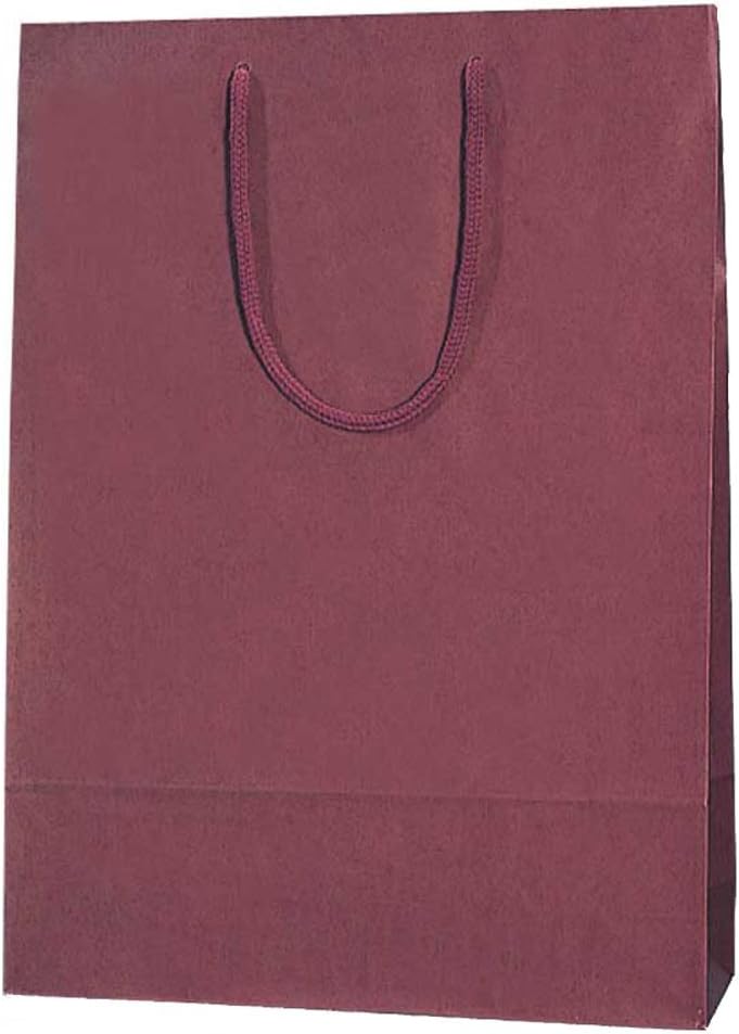 Shimojima Heiko 005310113 Handbag, Paper Bag, Color Charm Bag, 2 Years, Engine, 13.0 x 3.9 x 17.7 inches (33 x 10 x 45 cm), 10 Sheets