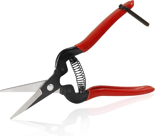 Amazon Brand - Umi 7.5 Inch Pruning Shears,Micro-Tip Pruning Snip Straight Trimming Scissors with Carbon Steel Blades for Arranging Flowers, Trimming Plants