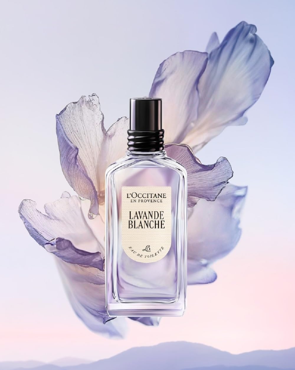 Amazon.co.jp: ロクシタン(L'OCCITANE) ラヴァンドブランシュ